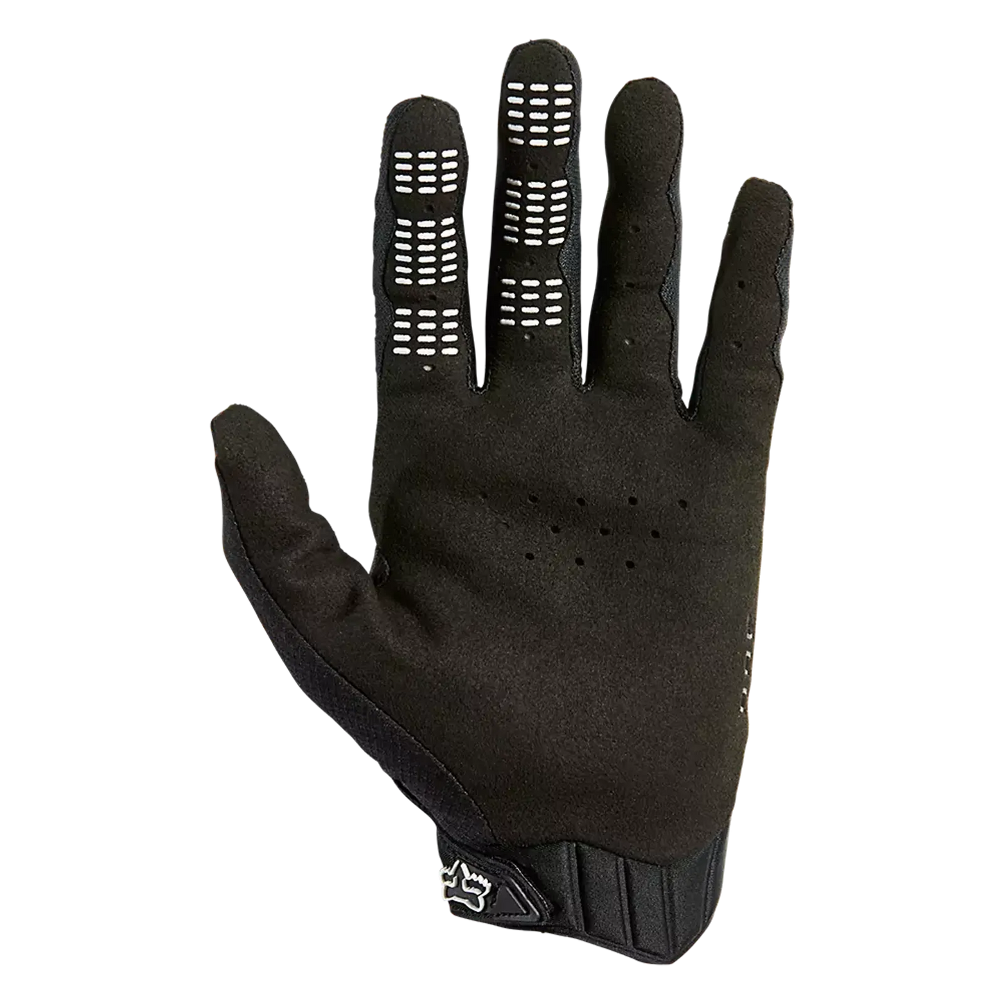 360 GLOVE